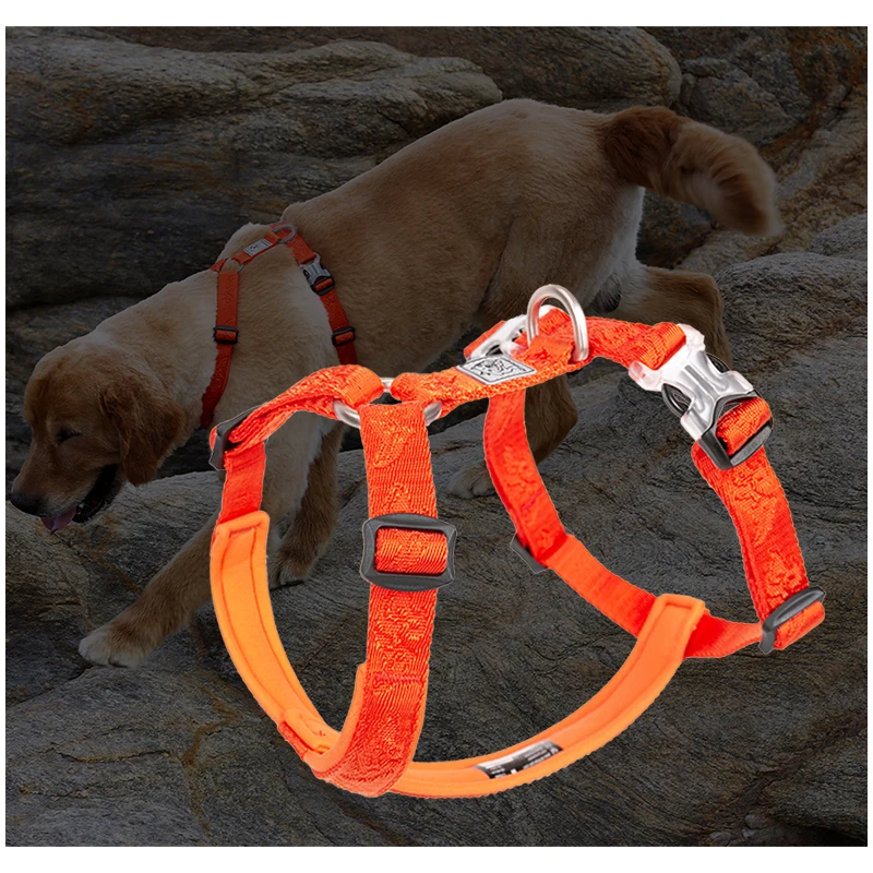 TRUELOVE Pet Tüylü Usag Premiu - Runners Gear incelemesi ve fiyatı